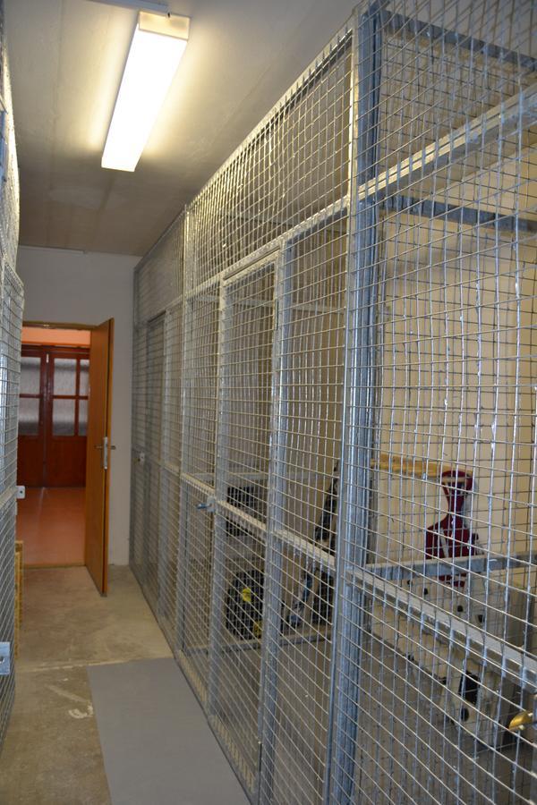 Apartmany Rysi Skala Loučná nad Desnou Buitenkant foto